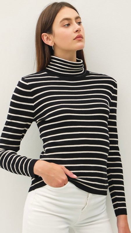 Classic Stripe Turtleneck Sweater