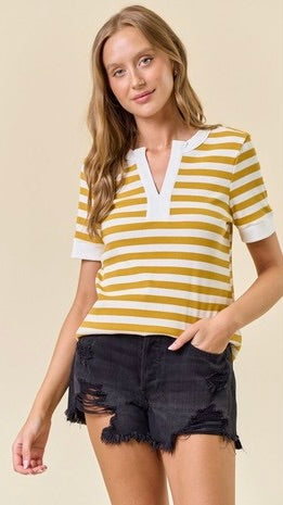 Stripe Knit V-Neck Short Sleeve Top