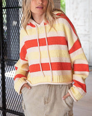 Soft Chenille Stripe Hooded Sweater