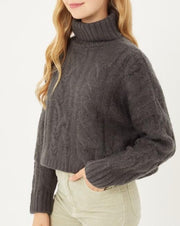 Cable Fuzzy Turtleneck Sweater - Charcoal